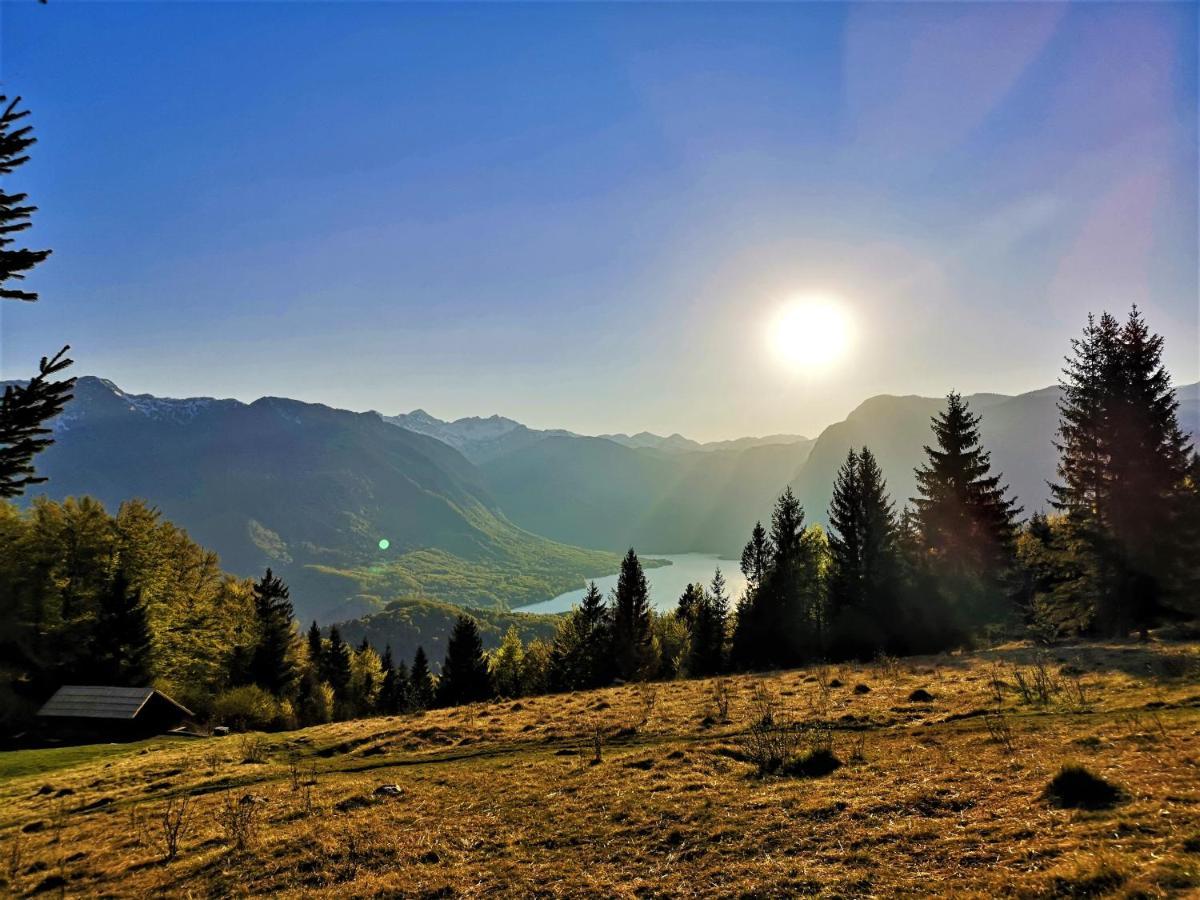 Chalet Ajda Бохинь Экстерьер фото